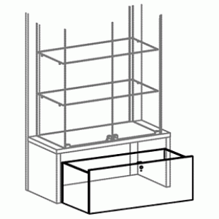 Wheeled display case