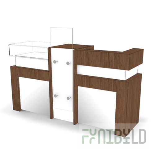 NES.0001 - Reception
