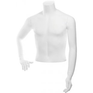 C-13-01M \ Men's torso BASIC, shortened