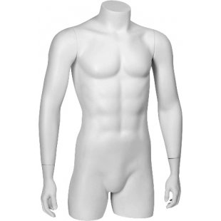 C-01 \ Male torso BASIC