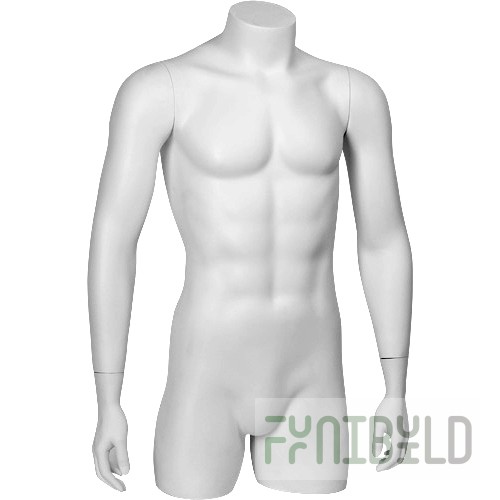 C-01 - Male torso BASIC