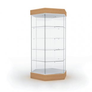 Showcase with lighting