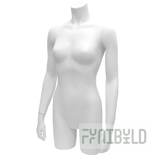 C-02 - Female torso BASIC
