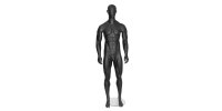 Mannequins male sports