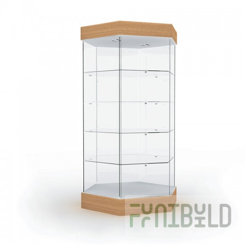 Display case with lighting (mirror back wall)