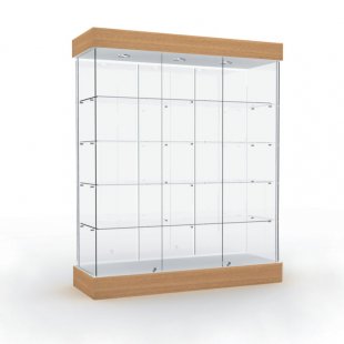 Display case with lighting (mirror back wall)