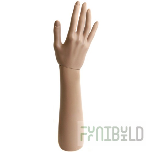 ARM-B - Arm (long)