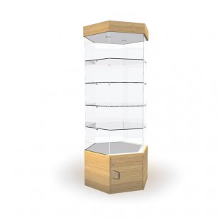 Display cabinet with lighting and storage (mirror back wall)