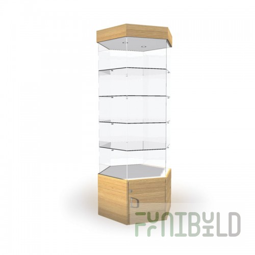 Display cabinet with lighting and storage (mirror back wall)