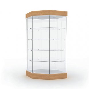 Display case with lighting (mirror back wall)