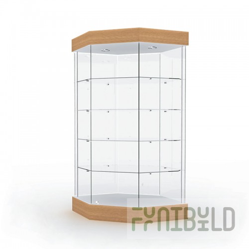 Display case with lighting (mirror back wall)