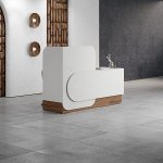 Callisto Minimal Curve Front Desk