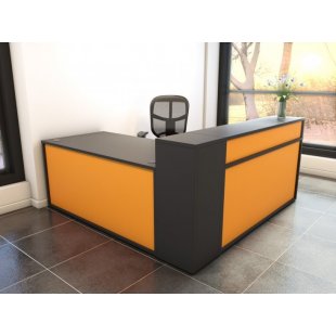 Reception Desk Bee Maya