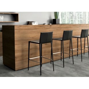 Scandinavian bar counter for bar and restaurant
