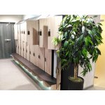 Lockers for changing rooms "Bitlis" for fitness club