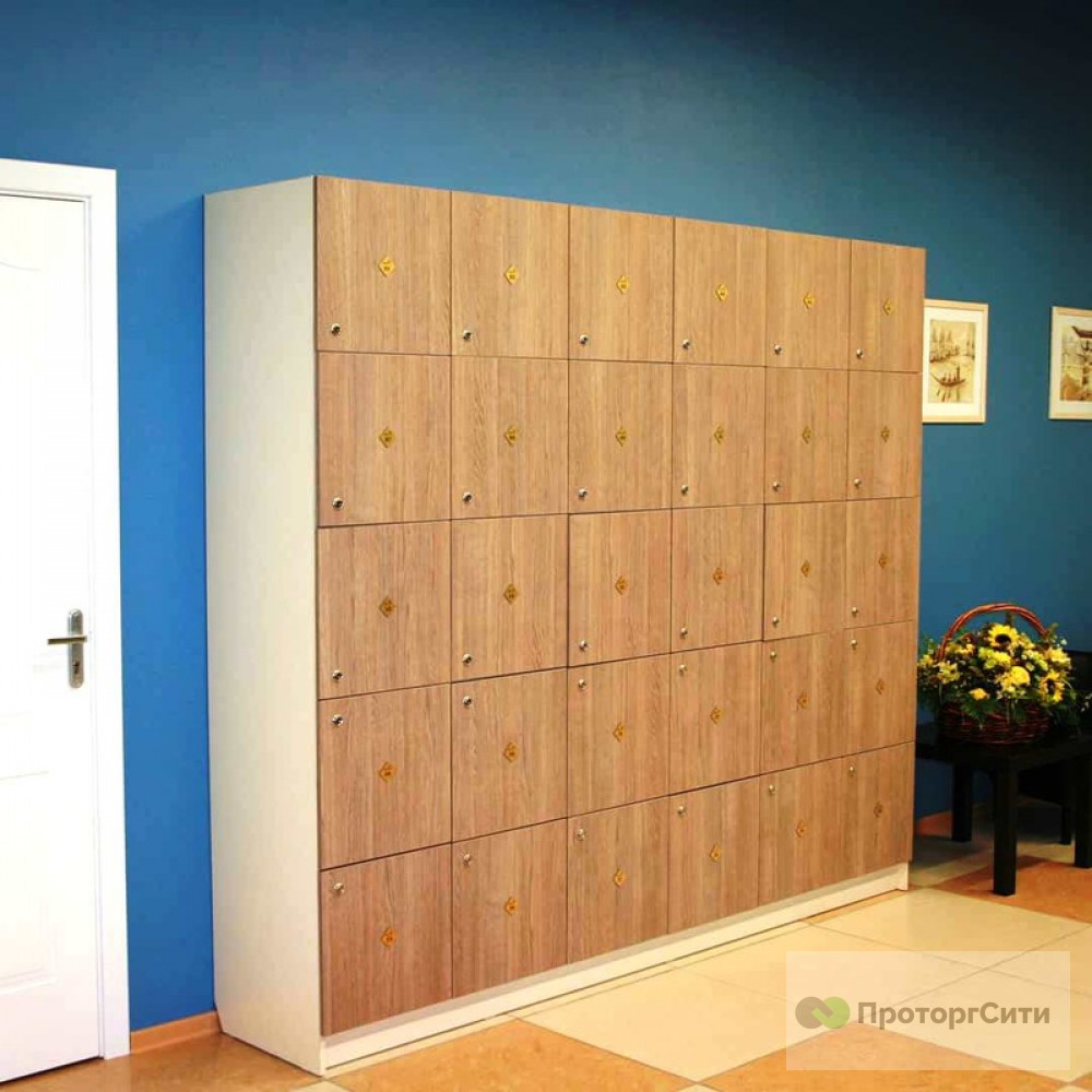 Lockers for changing rooms "Tit" for the fitness hall