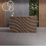 Vibe Front Desk – Sculpted Wave Lobby Counter