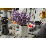 Tablecraft 80011 16 Oz Enamelware Side Cup Stackable Dishwasher Safe Creamy White Tablecraft 80011 16 Oz Enamelware Side Cup Stackable Dishwasher Safe Creamy White