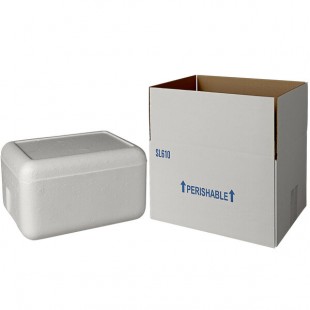 Insulated Shipping Box with Foam Cooler 11 3/8