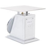 Edlund HD-200 Heavy-Duty 200 lb. Receiving Scale with 15