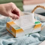 Arm & Hammer® 100-Count Free & Clear Dryer Sheets - 6/Case