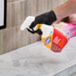 CloroxPro Clorox CLO31903 32 oz. Disinfecting Bio Stain and Odor Remover - 9/Case CloroxPro Clorox CLO31903 32 oz. Disinfecting Bio Stain and Odor Remover - 9/Case