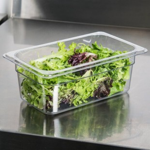 Carlisle 3068107 StorPlus 1/4 Size Clear Polycarbonate Food Pan - 4 Carlisle 3068107 StorPlus 1/4 Size Clear Polycarbonate Food Pan - 4