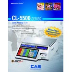 CAS CL5500R-30NE CL-5500 Series 30 lb. Digital Price Computing Scale with Label Printer, Ethernet Capability, and Pole - Legal for Trade