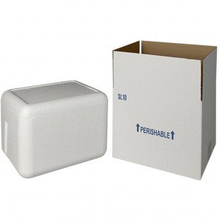 Insulated Shipping Box with Foam Cooler 11 1/8