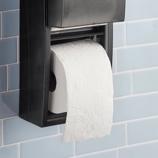 Charmin Ultra Soft 4