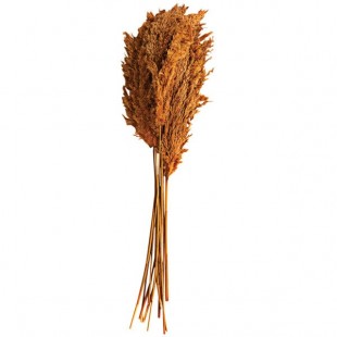 Kalalou Large Bundle of 39 Kalalou Large Bundle of 39