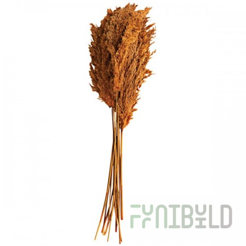 Kalalou Large Bundle of 39