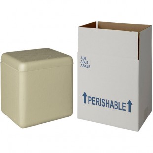 Insulated Shipping Box with Biodegradable Cooler 9 5/8