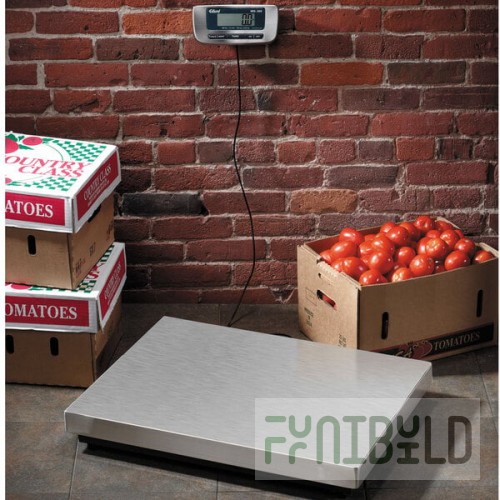 Edlund ERS-300 300 lb. Digital Receiving Scale with 25 3/4