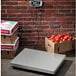 Edlund ERS-300 300 lb. Digital Receiving Scale with 25 3/4