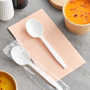 Choice White Heavy Weight Wrapped Polypropylene Plastic Soup Spoon - 1,000/Case