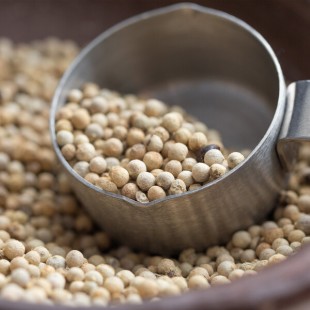 Regal Whole White Peppercorn - 5 lb.