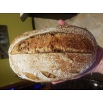 King Arthur Flour Baker's Classic 50 lb. Organic Bread Flour
