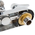 T&S B-1146-2-V12-CR Wall Mounted Workboard Faucet with 4
