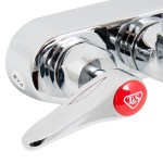 T&S B-1146-2-V12-CR Wall Mounted Workboard Faucet with 4
