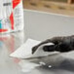 WypAll® L30 12 WypAll® L30 12