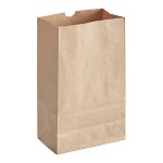 Choice Heavy Duty 2 lb. Heavy-Duty Natural Kraft Bag - 400/Case