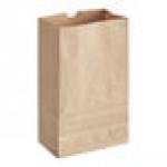 Choice Heavy Duty 2 lb. Heavy-Duty Natural Kraft Bag - 400/Case