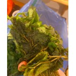 Fresh Mint 2.2 lb. Fresh Mint 2.2 lb.