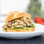 Barvecue Plant-Based Vegan Wood-Smoked Naked Shredded Chicken 2 lb. - 4/Case