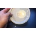Choice 12, 18, and 22 Qt. White Round Polypropylene Food Storage Container Lid Choice 12, 18, and 22 Qt. White Round Polypropylene Food Storage Container Lid