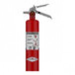 Amerex 377 2.5 lb. Purple K Dry Chemical Fire Extinguisher with Nozzle 27541 - UL Rating 10B:C
