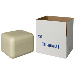 Insulated Shipping Box with Biodegradable Cooler 7 5/8
