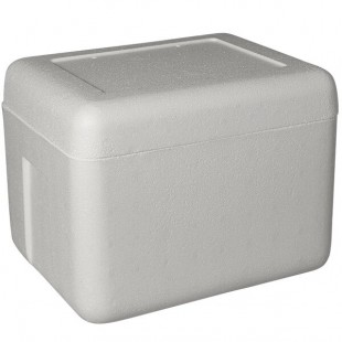 Insulated Foam Cooler 13 1/4