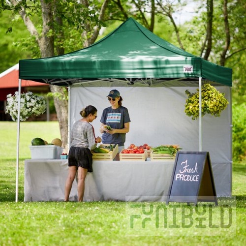 Backyard Pro Courtyard Series 10' x 10' Green Straight Leg Aluminum Instant Pop Up Canopy Tent and Wall Kit